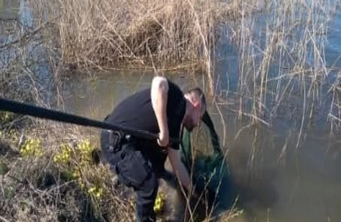 {Funkcjonariusze olsztyńskiej Straży Miejskiej pomogli rannej rybitwie.}